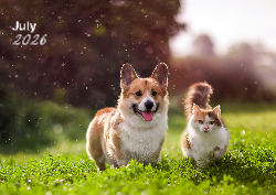 Desk calendar, spiral-bound with self stand (Design 3)