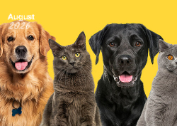 Desk calendar, spiral-bound with self stand (Design 3)