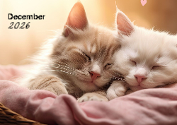 Desk calendar, spiral-bound with self stand (Design 3)