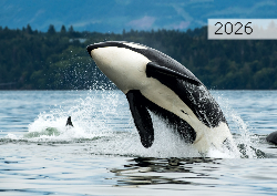 Desk calendar, spiral-bound with self stand (Design 2)