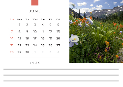 Desk calendar, spiral-bound with self stand (Design 2)