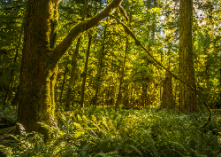 Desk calendar, spiral-bound with self stand (Design 2)