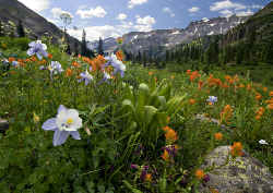 Desk calendar, spiral-bound with self stand (Design 2)
