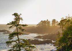 Desk calendar, spiral-bound with self stand (Design 2)