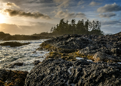 Desk calendar, spiral-bound with self stand (Design 2)