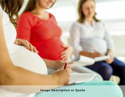 2025 Wall Calendar- 11x17 folds to 8.5 x 11 (Design 1)