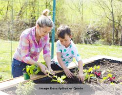 2025 Wall Calendar- 11x17 folds to 8.5 x 11 (Design 1)