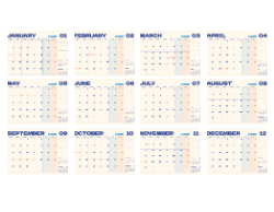 2025 Wall Calendar 11x17 folds to 8.5 x 11 ( Design 4)