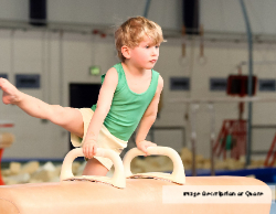 2025 Wall Calendar 11x17 folds to 8.5 x 11 ( Design 4)