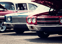 2025 Desktop Calendar 7.5x5.25 ( Design 5)