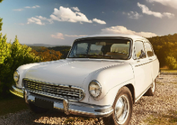 2025 Desktop Calendar 7.5x5.25 ( Design 5)