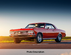 2025 Wall Calendar 11x17 folds to 8.5 x 11 ( Design 5)