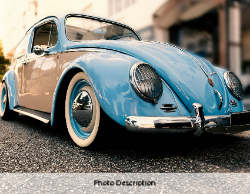 2025 Wall Calendar 11x17 folds to 8.5 x 11 ( Design 5)