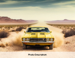 2025 Wall Calendar 11x17 folds to 8.5 x 11 ( Design 5)