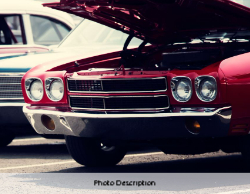 2025 Wall Calendar 11x17 folds to 8.5 x 11 ( Design 5)