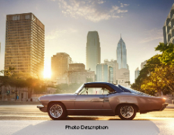 2025 Wall Calendar 11x17 folds to 8.5 x 11 ( Design 5)