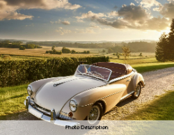 2025 Wall Calendar 11x17 folds to 8.5 x 11 ( Design 5)