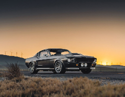 2025 Wall Calendar 11x17 folds to 8.5 x 11 ( Design 5)