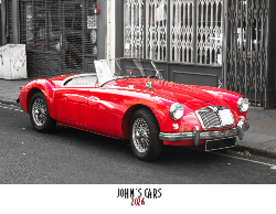 2025 Wall Calendar 11x17 folds to 8.5 x 11 ( Design 5)