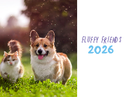 2025 Wall Calendar 11x17 folds to 8.5 x 11 ( Design 6)