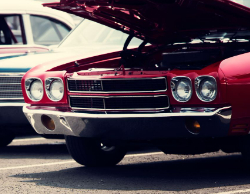 2025 Wall Calendar 11x17 folds to 8.5 x 11 ( Design 8)