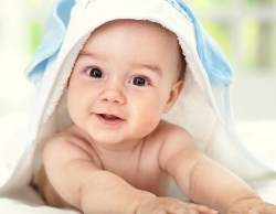 2025 Wall Calendar 11x17 folds to 8.5 x 11 ( Design 9)