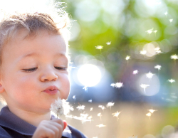 2025 Wall Calendar 11x17 folds to 8.5 x 11 ( Design 9)