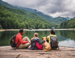 2025 Wall Calendar 11x17 folds to 8.5 x 11 ( Design 9)