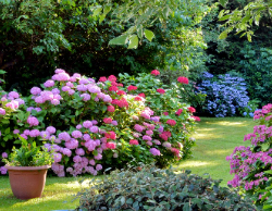 2025 Wall Calendar 11x17 folds to 8.5 x 11 ( Design 10)