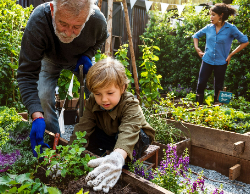 2025 Wall Calendar 11x17 folds to 8.5 x 11 ( Design 10)