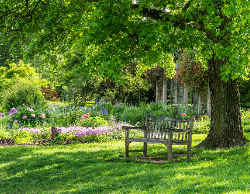 2025 Wall Calendar 11x17 folds to 8.5 x 11 ( Design 10)