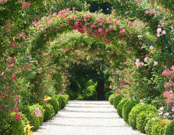 2025 Wall Calendar 11x17 folds to 8.5 x 11 ( Design 10)