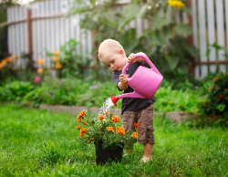 2025 Wall Calendar 11x17 folds to 8.5 x 11 ( Design 10)