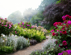 2025 Wall Calendar 11x17 folds to 8.5 x 11 ( Design 10)