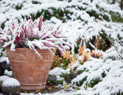 2025 Wall Calendar 11x17 folds to 8.5 x 11 ( Design 10)