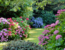 2025 Wall Calendar 11x17 folds to 8.5 x 11 ( Design 10)