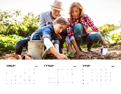 2025 Wall Calendar 11x17 folds to 8.5 x 11 ( Design 11)