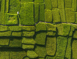 2025 Wall Calendar 11x17 folds to 8.5 x 11 ( Design 11)