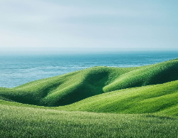 2025 Wall Calendar 11x17 folds to 8.5 x 11 ( Design 11)