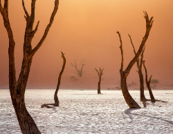 2025 Wall Calendar 11x17 folds to 8.5 x 11 ( Design 11)