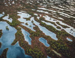 2025 Wall Calendar 11x17 folds to 8.5 x 11 ( Design 11)