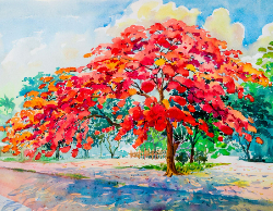 2025 Wall Calendar 11x17 folds to 8.5 x 11 ( Design 12)