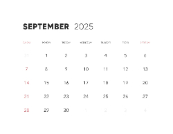 2025 Wall Calendar 11x17 folds to 8.5 x 11 ( Design 14)