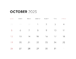 2025 Wall Calendar 11x17 folds to 8.5 x 11 ( Design 14)