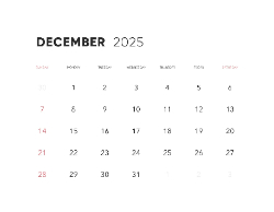 2025 Wall Calendar 11x17 folds to 8.5 x 11 ( Design 14)