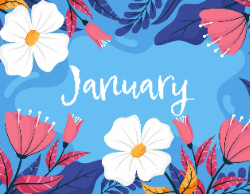 2025 Wall Calendar 11x17 folds to 8.5 x 11 ( Design 15)