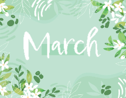 2025 Wall Calendar 11x17 folds to 8.5 x 11 ( Design 15)