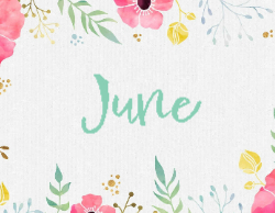 2025 Wall Calendar 11x17 folds to 8.5 x 11 ( Design 15)