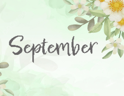 2025 Wall Calendar 11x17 folds to 8.5 x 11 ( Design 15)