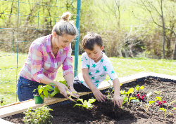 Desk calendar, spiral-bound with self stand (Design 9)